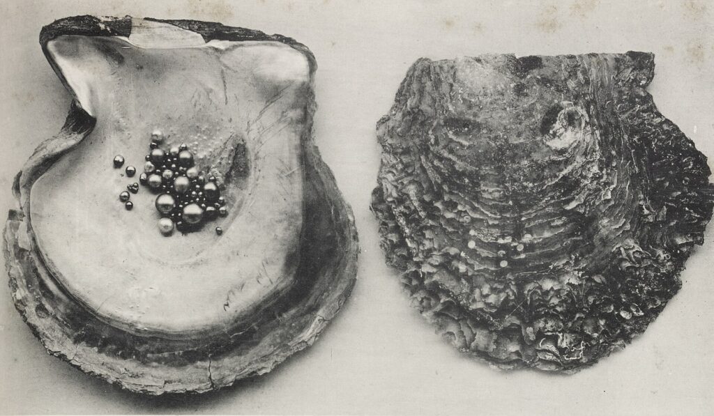 Uncooked pearl barley in a glass jar beside a wooden scoop on a pale surface
