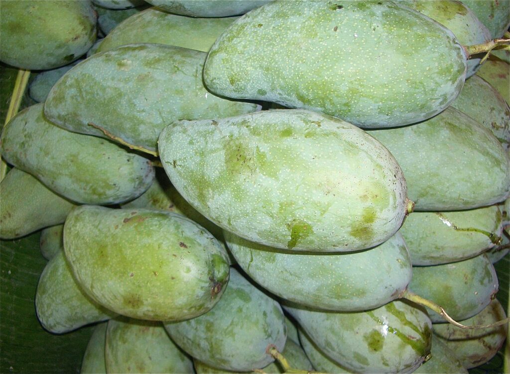 Two firm unripe green mangoes on a cutting board, one halved to show pale flesh