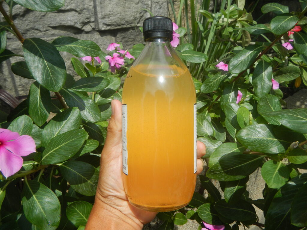 A cloudy bottle of unfiltered apple cider vinegar next to two whole red apples