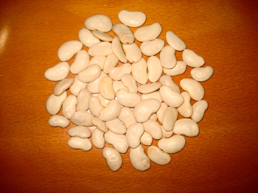 Pale green butter beans heaped in a shallow bowl beside a scattering of corn kernels